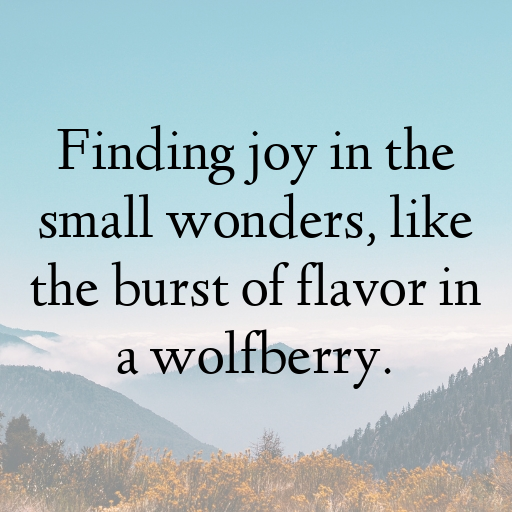 Wolfberry Captions Photo For Instagram In (2025)-ry7Ke3