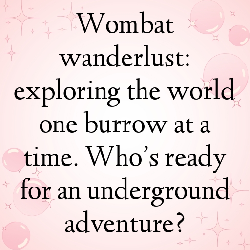 151+ Wombat Captions For Instagram In (2025) 9 Wombat Captions Image For Instagram In (2025)-48al5y