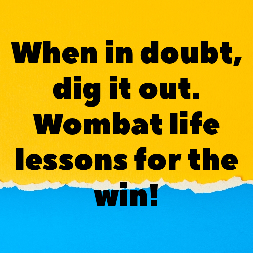 151+ Wombat Captions For Instagram In (2025) 3 Wombat Captions Photo For Instagram In (2025)-0njTqb