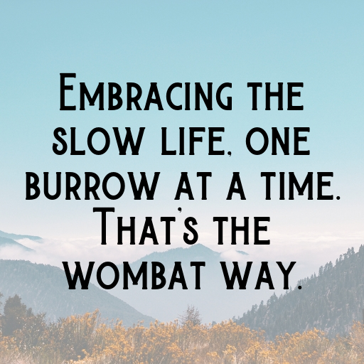 151+ Wombat Captions For Instagram In (2025) 7 Wombat Captions Photo For Instagram In (2025)-bgtX3n