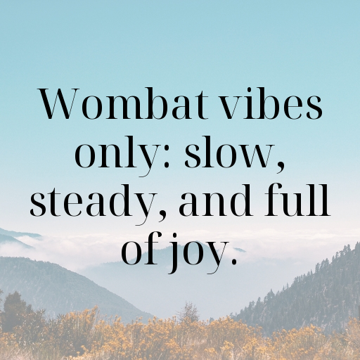 151+ Wombat Captions For Instagram In (2025) 5 Wombat Captions Photo For Instagram In (2025)-pfUJQa