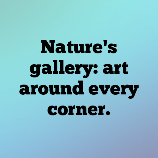 Woodland Adventure Captions Photo for Instagram In [2025]-WYclNb