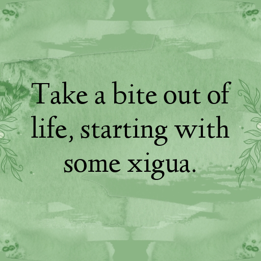 Xigua Captions Image For Instagram In 2025-3xhB40