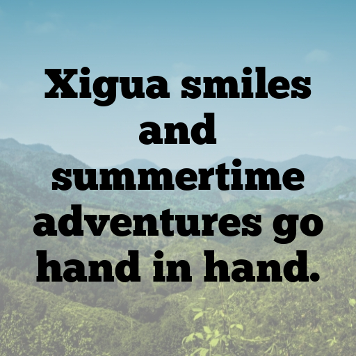 Xigua Captions Image For Instagram In 2025-RqwUOP