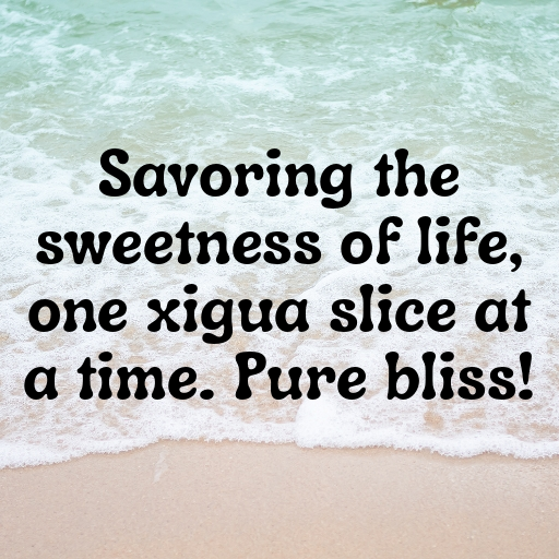 Xigua Captions Photo For Instagram In 2025-XqLqrS
