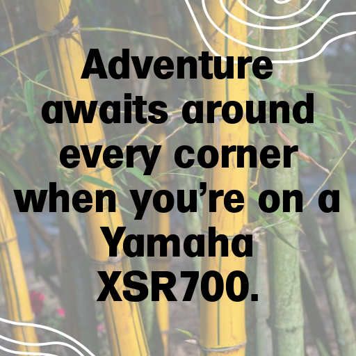 Yamaha XSR700 Captions Image for Instagram In [2025]-dxv0BC