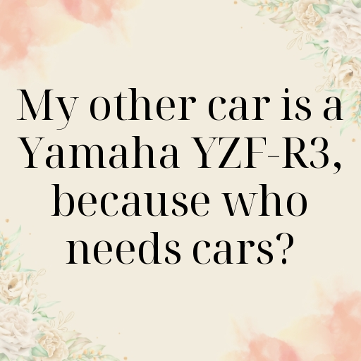 158+ Yamaha YZF-R3 Captions for Instagram In (2025) 4 Yamaha YZF-R3 Captions Image for Instagram In (2025)-hDnEkt