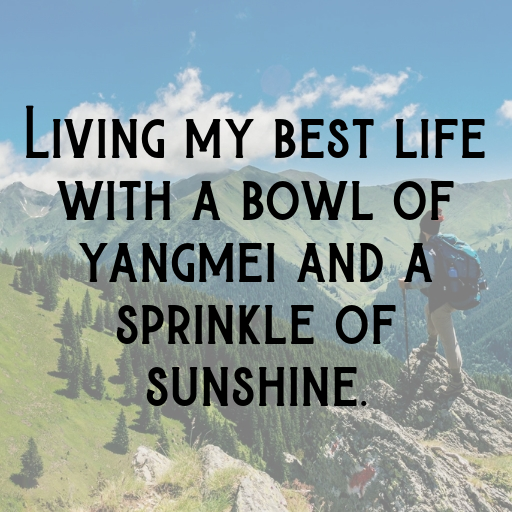 Yangmei Captions Photo For Instagram In [2025]-7iuSgg