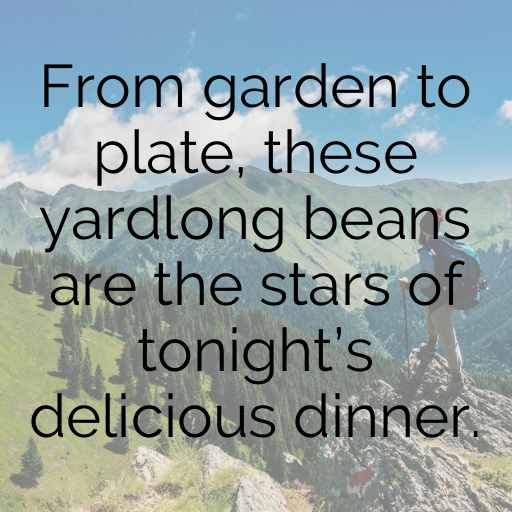 193+ Yardlong Bean Captions For Instagram In (2025) 8 Yardlong Bean Captions Image For Instagram In (2025)-1M3NcP