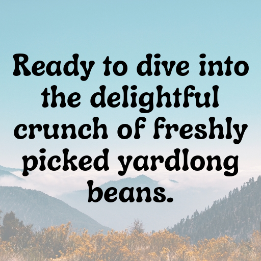 193+ Yardlong Bean Captions For Instagram In (2025) 9 Yardlong Bean Captions Photo For Instagram In (2025)-3W1siY