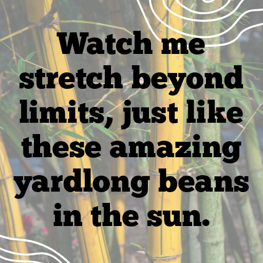 193+ Yardlong Bean Captions For Instagram In (2025) 7 Yardlong Bean Captions Photo For Instagram In (2025)-Ut2LyS