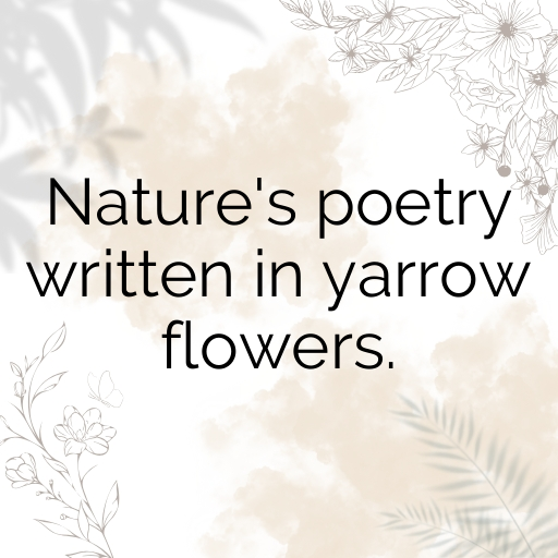 Yarrow Captions Image For Instagram In 2025-n2Kna8