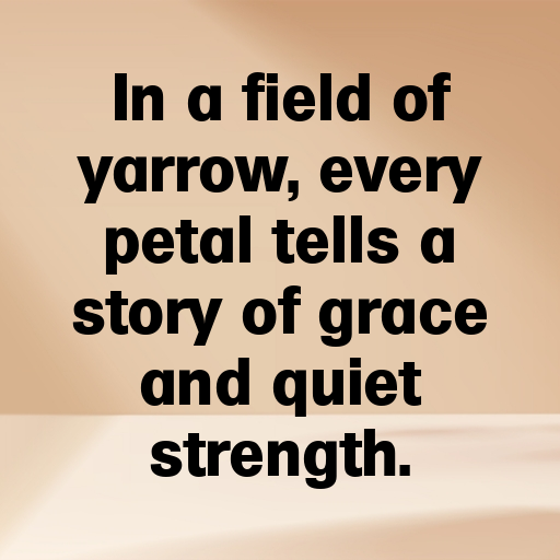 Yarrow Captions Image For Instagram In 2025-rVNqNC