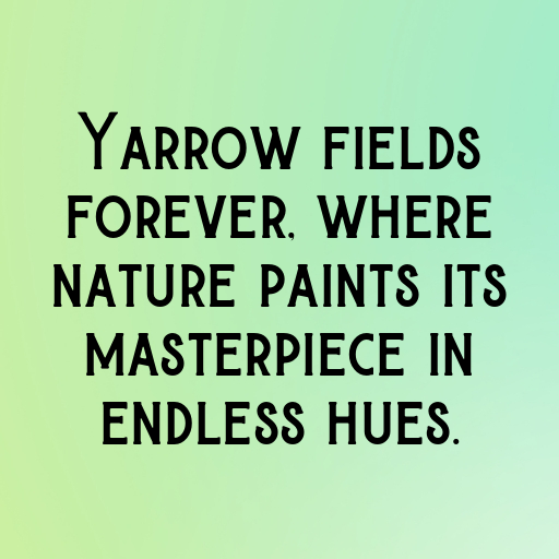 Yarrow Captions Photo For Instagram In 2025-D5XMU3