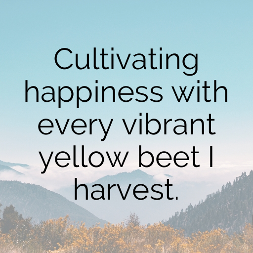 Yellow Beet Captions Image For Instagram In 2025-MbBUSY