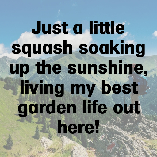 Yellow Squash Captions Image For Instagram In 2025-ZiijRO