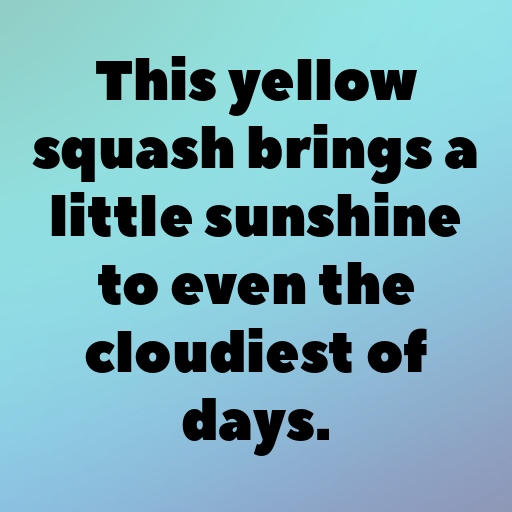 Yellow Squash Captions Photo For Instagram In 2025-ApCKWa