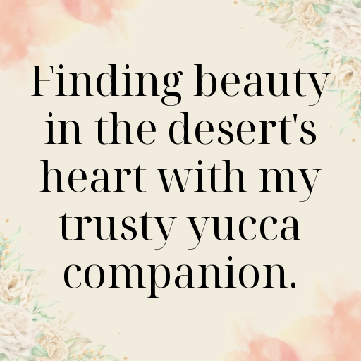 Yucca Captions Image For Instagram In 2025-OAlCtR