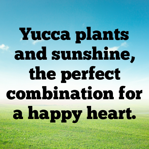 Yucca Captions Image For Instagram In 2025-tuvj9d