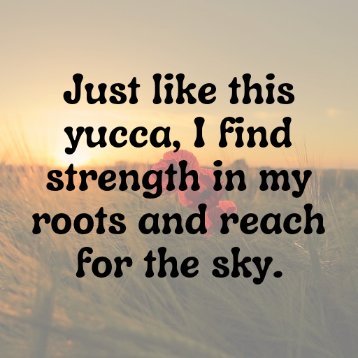 Yucca Captions Photo For Instagram In 2025-DzAJTi