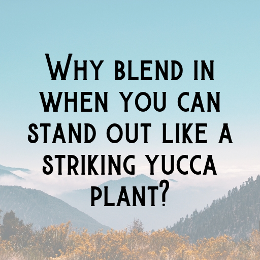 Yucca Captions Photo For Instagram In 2025-QZkGqx