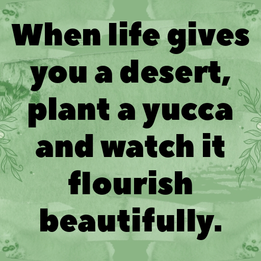 Yucca Captions Photo For Instagram In 2025-U47mpA