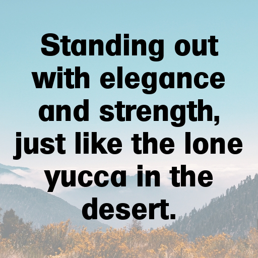 Yucca Captions Photo For Instagram In 2025-WX4nDe