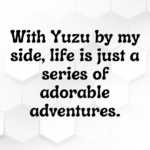 153+ Yuzu Captions For Instagram In (2025) 6 Yuzu Captions Photo For Instagram In (2025)-8w17br