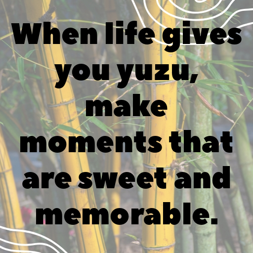 153+ Yuzu Captions For Instagram In (2025) 10 Yuzu Captions Photo For Instagram In (2025)-Ufm3l8