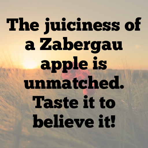 Zabergau Apple Captions Image For Instagram In [2025]-g2XfR8