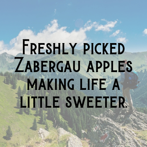 Zabergau Apple Captions Image For Instagram In [2025]-rBDeld