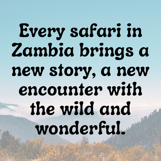 Zambia Captions Image For Instagram In [2025]-PdsTcI