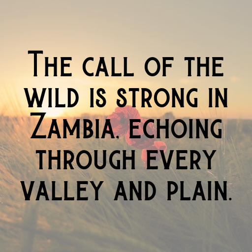 Zambia Captions Photo For Instagram In [2025]-62yGLg