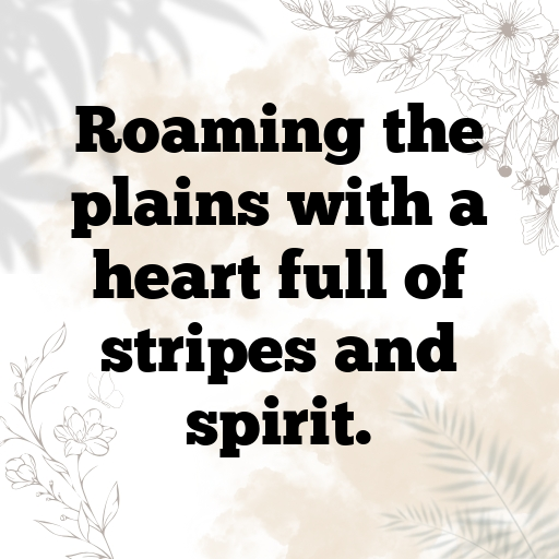 197+ Zebra Captions For Instagram In (2025) 9 Zebra Captions Photo For Instagram In (2025)-6Am0DG