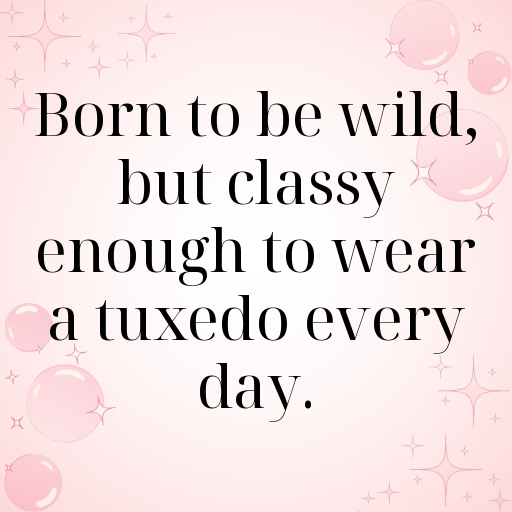 197+ Zebra Captions For Instagram In (2025) 7 Zebra Captions Photo For Instagram In (2025)-izRebu