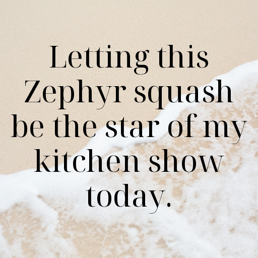 Zephyr Squash Captions Image For Instagram In [2025]-nK92w1