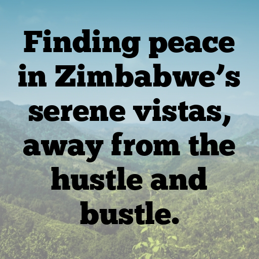 196+ Zimbabwe Captions For Instagram In 2025 5 Zimbabwe Captions Image For Instagram In 2025-H1hNXd