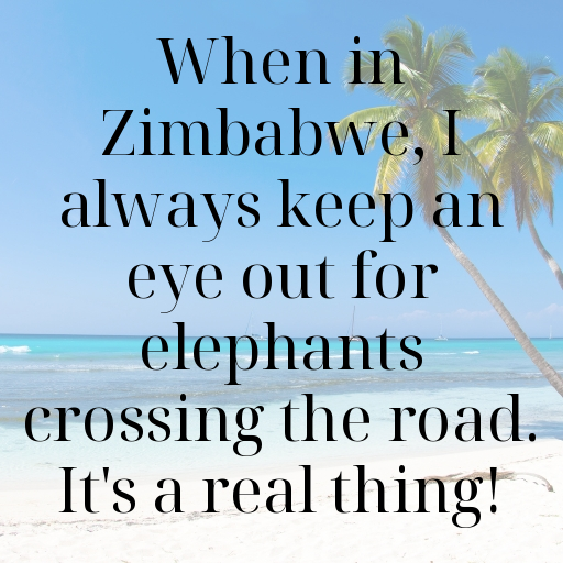 196+ Zimbabwe Captions For Instagram In 2025 4 Zimbabwe Captions Photo For Instagram In 2025-ylAH4h