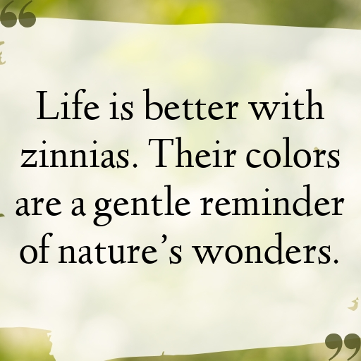 Zinnia Captions Image For Instagram In (2025)-LKJms7
