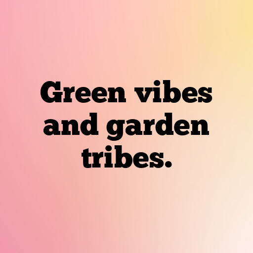 Zucchini Captions Image For Instagram In 2025-7X52Kr