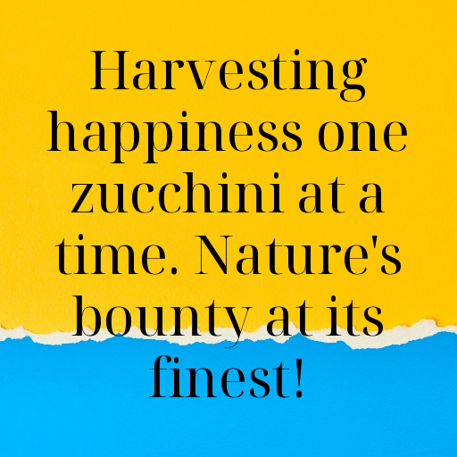 Zucchini Captions Image For Instagram In 2025-j46Txi