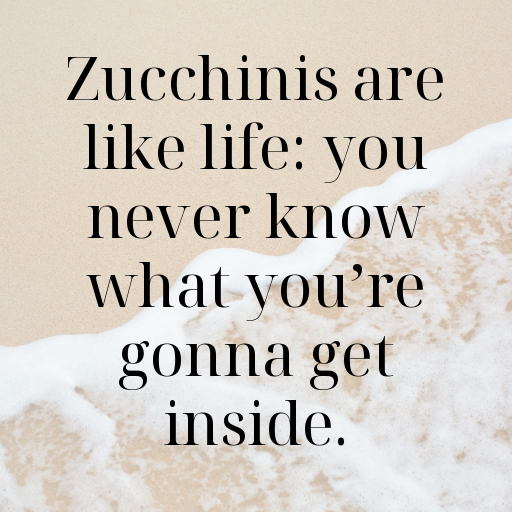 199+ Zucchini Captions For Instagram In 2025 3 Zucchini Captions Image For Instagram In 2025-UGDN4H