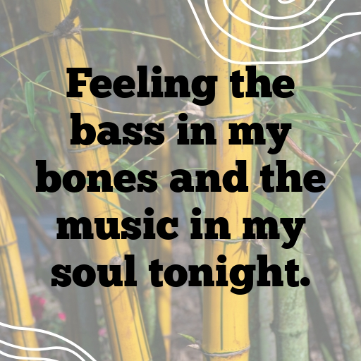 181+ Concert Captions For Instagram 4 Concert Captions Image For Instagram-WZEz7W