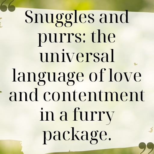 Cute Pet Photos Captions Image For Instagram-anhewH