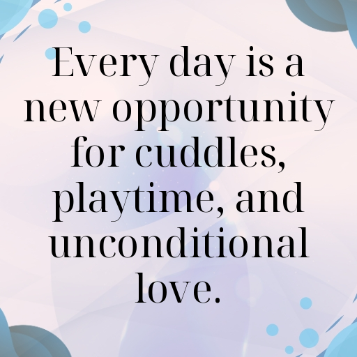 Cute Pet Photos Captions Image For Instagram-yamrzs