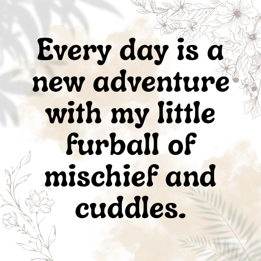 Cute Pet Photos Captions Photo For Instagram-EHvdQ9